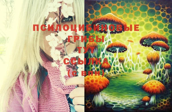 мяу мяу мука Сосновка