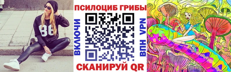 Купить  Бавлы  Галлюциногенные грибы Magic Shrooms 