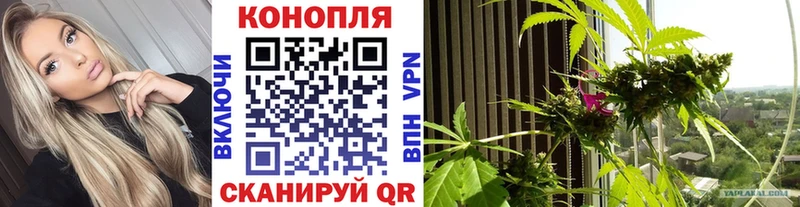Бошки Шишки ГИДРОПОН  Купить где  Бавлы 